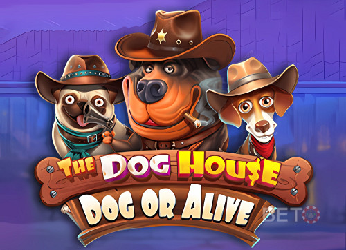 The Dog House - Dog or Alive