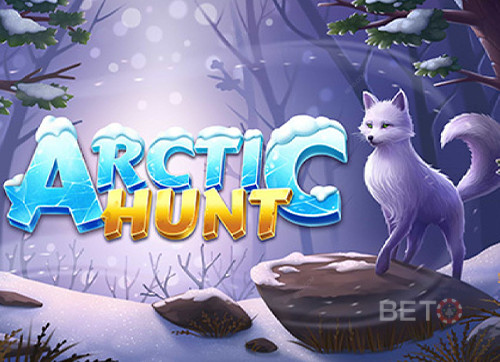 Arctic Hunt