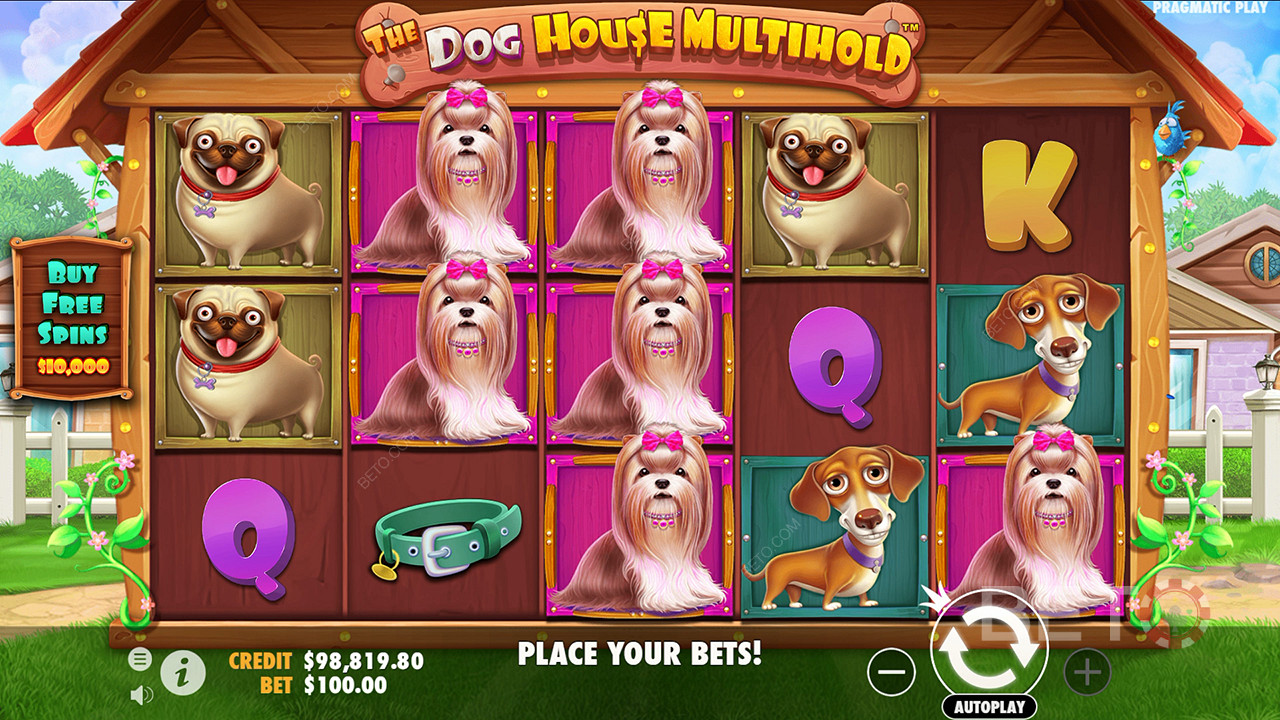 Veredicto sobre a slot de vídeo The Dog House Multihold