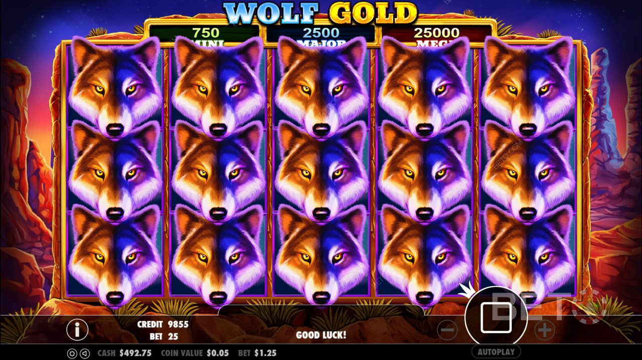 O símbolo Wolf Gold Scatter desencadeia a rodada Free Spin