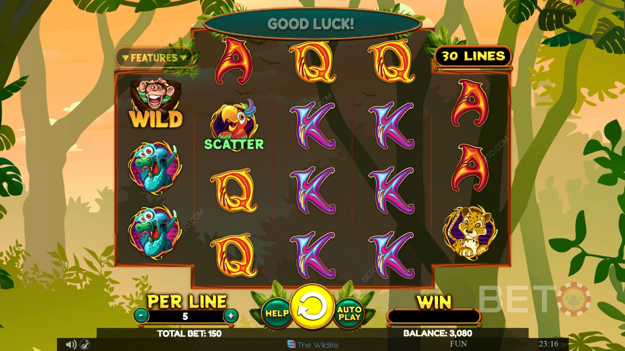 Wacky Monkey Jogo Grátis