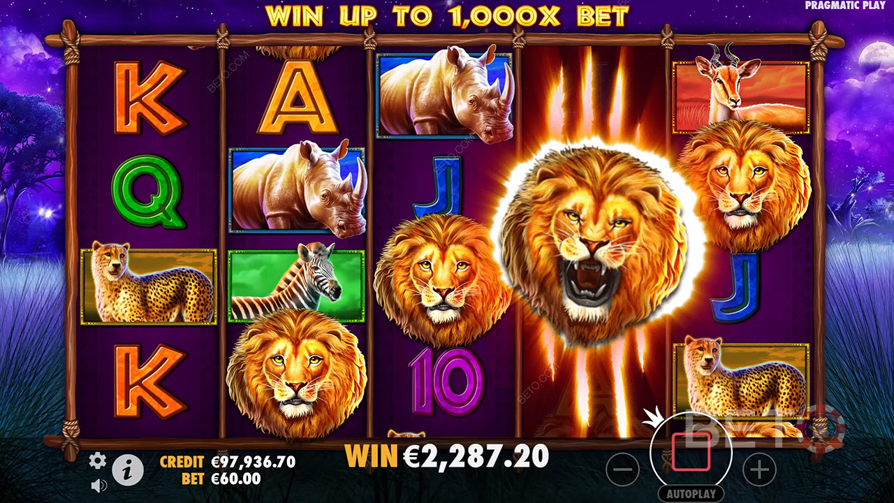 Safari King Avaliação por BETO Slots