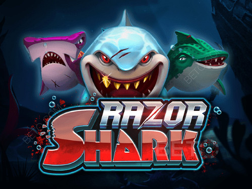 Slot Online Razor Shark