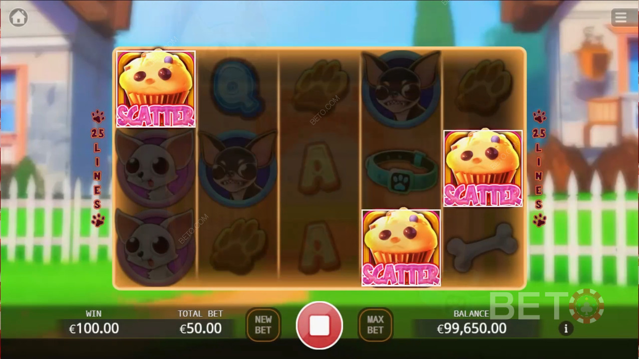 Chihuahua Party Jogo Grátis