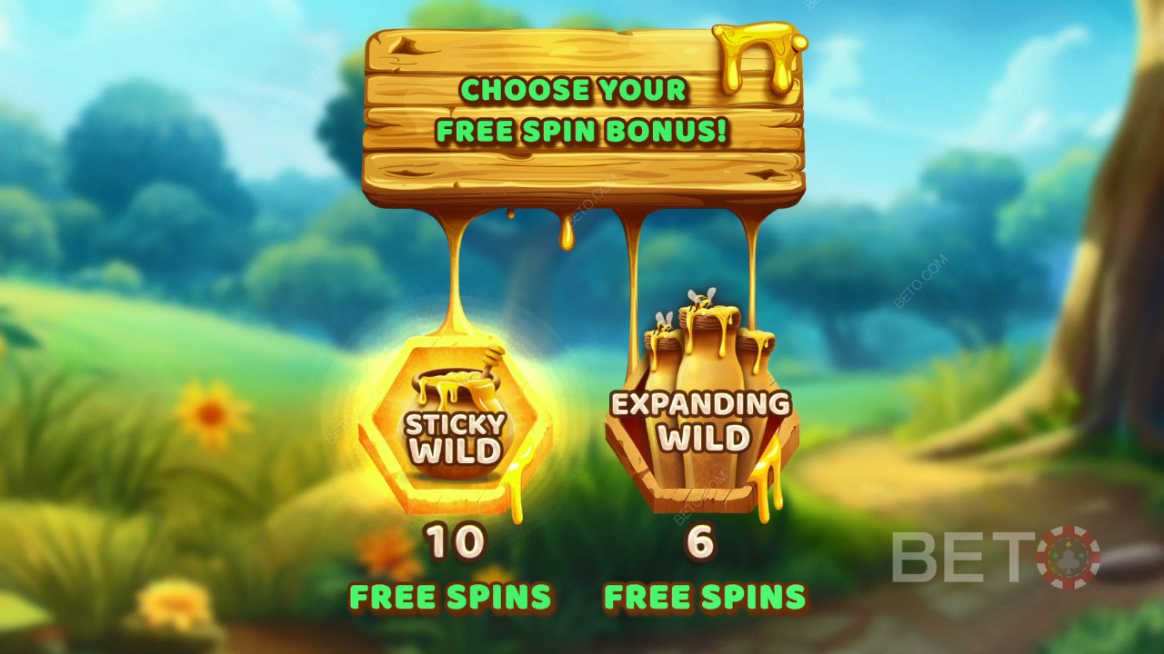 Tema e design: Bee Adventure Quest