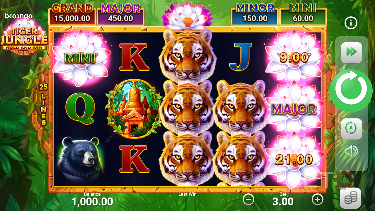 Jackpots de terra em slots como Tiger Jungle Hold e Win
