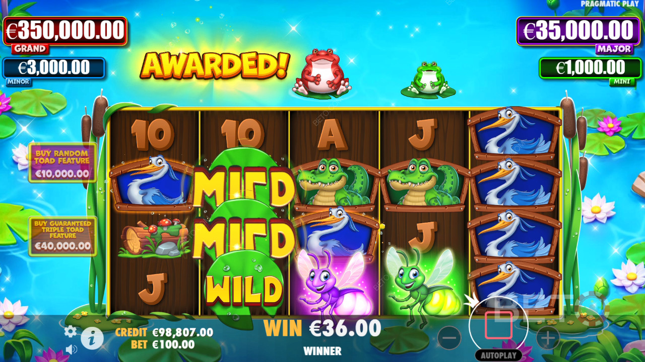 Tiny Toads Avaliação por BETO Slots