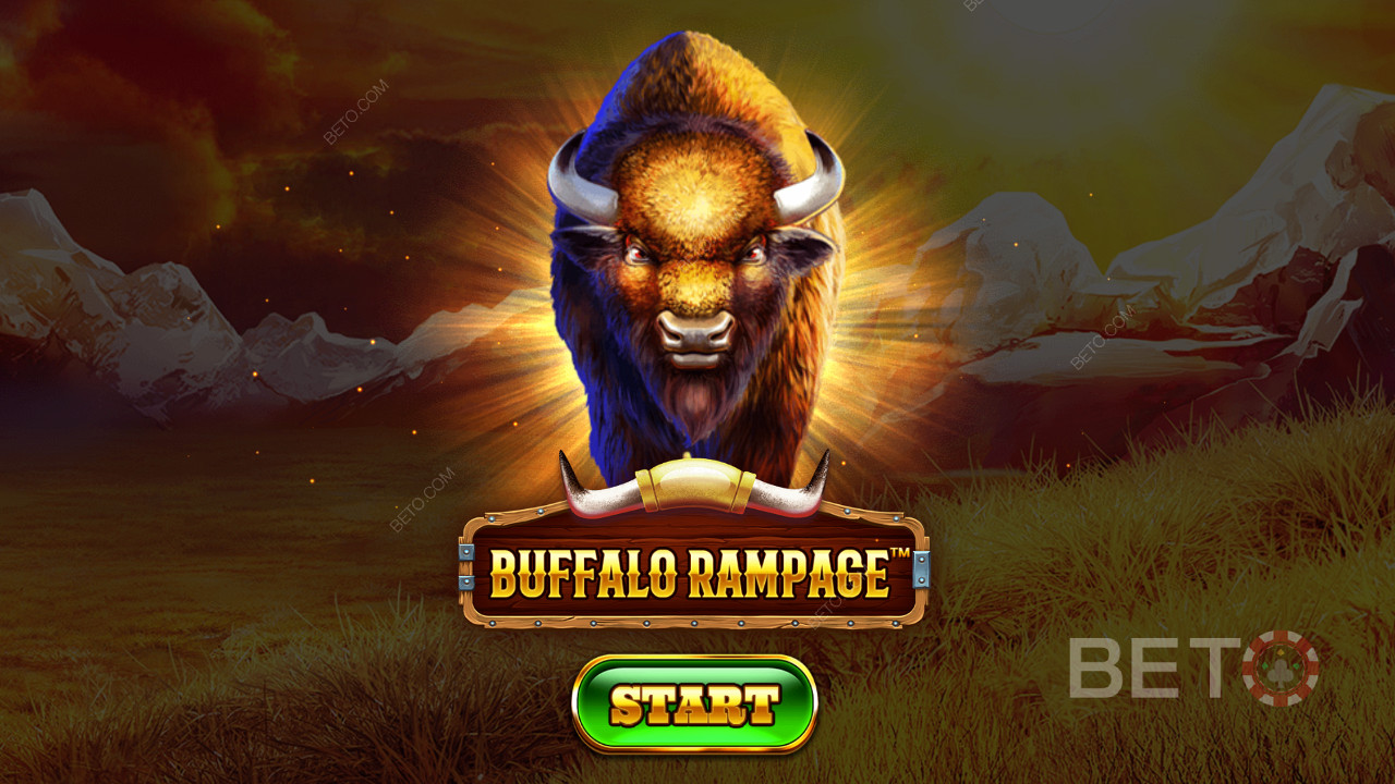 Percorrer o vasto deserto entre os animais elegantes na fenda de Buffalo Rampage