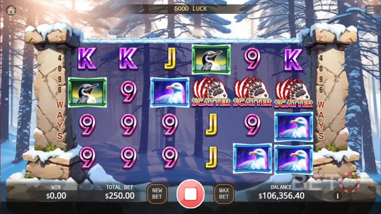 Bear Paw Legend Plus Avaliação por BETO Slots