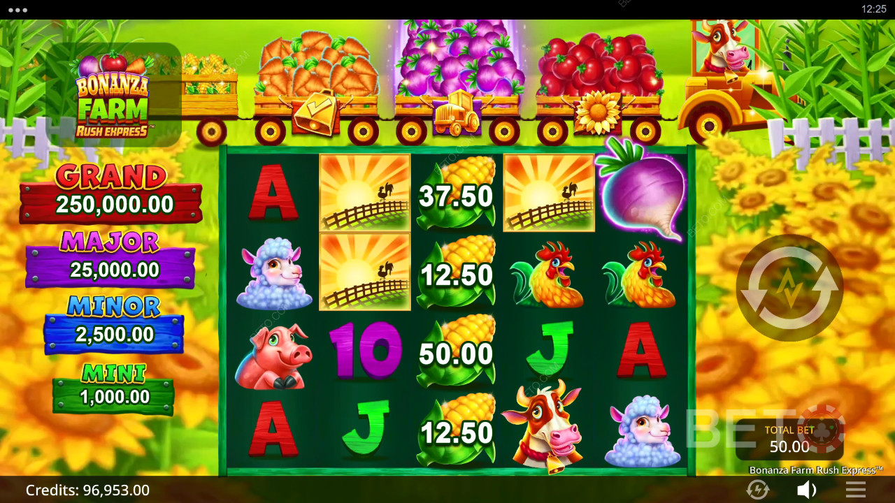 Bonanza Farm Rush Express Avaliação por BETO Slots