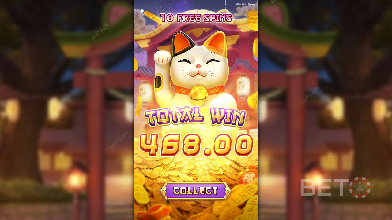 Win Win Neko - Sim ou Não