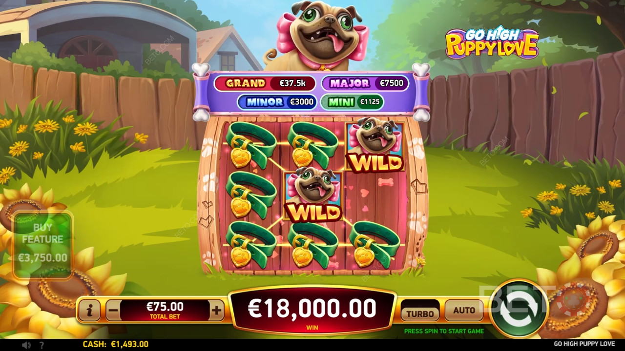 Go High Puppy Love Resenha feita por BETO Slots
