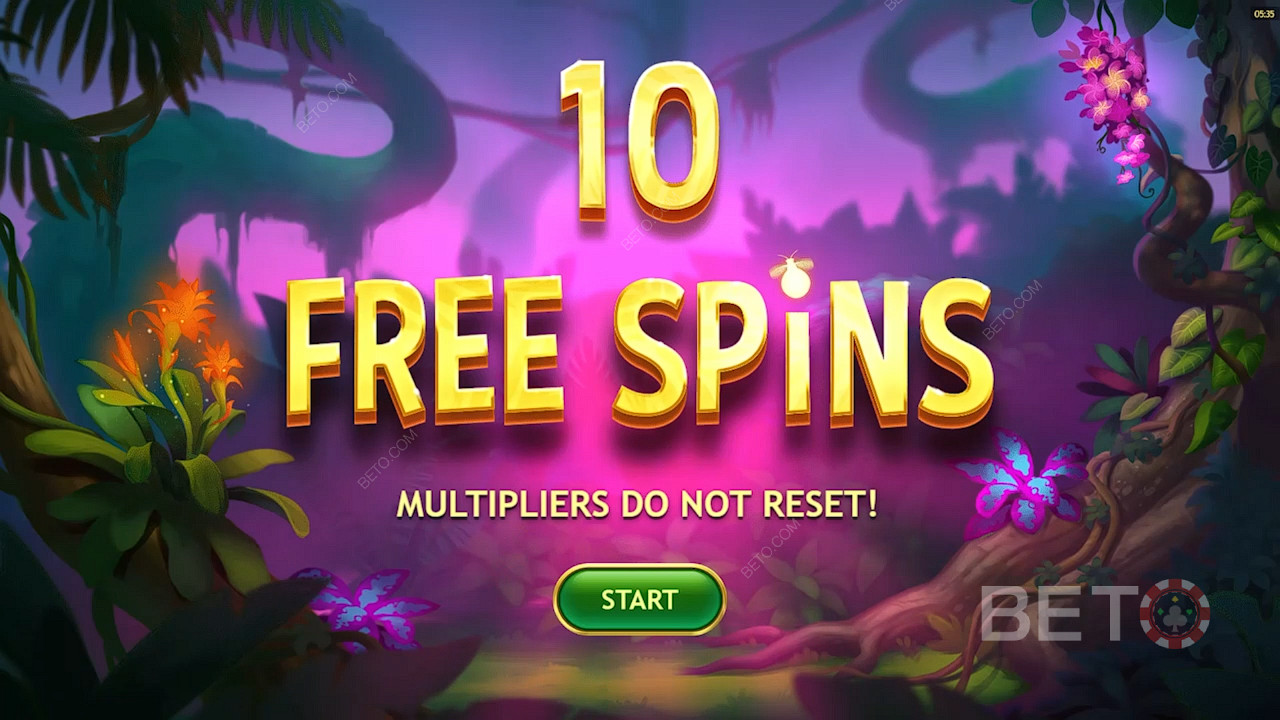 Obtenha 10 Free Spins depois de aterrar 3 Scatters