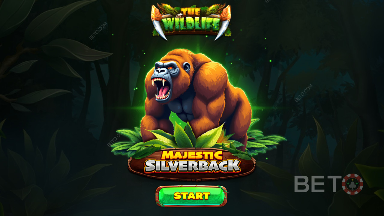 Funcionalidades de bónus explicadas em Majestic Silverback por Spinomenal