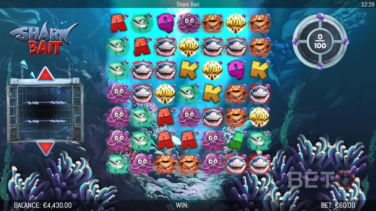 Funcionalidades de bónus explicadas em Shark Bait by Hungry Bear
