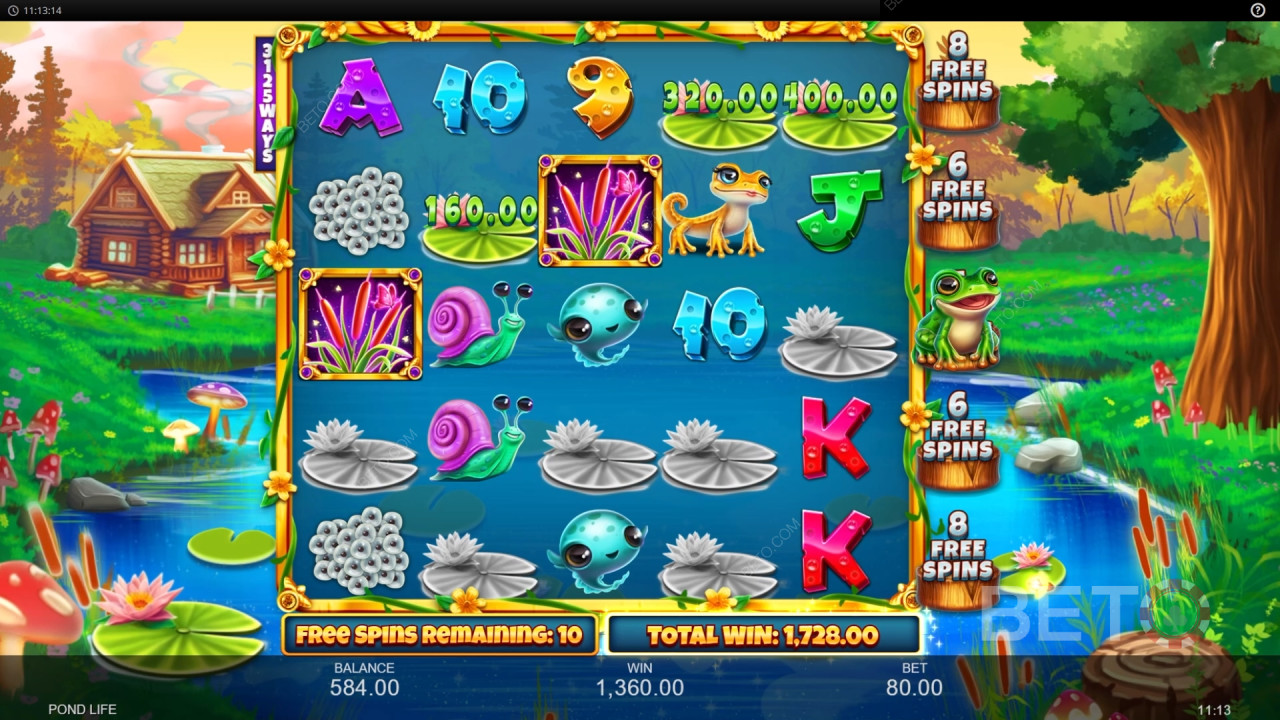 Funcionalidades de bónus explicadas em Pond Life por Inspired Gaming