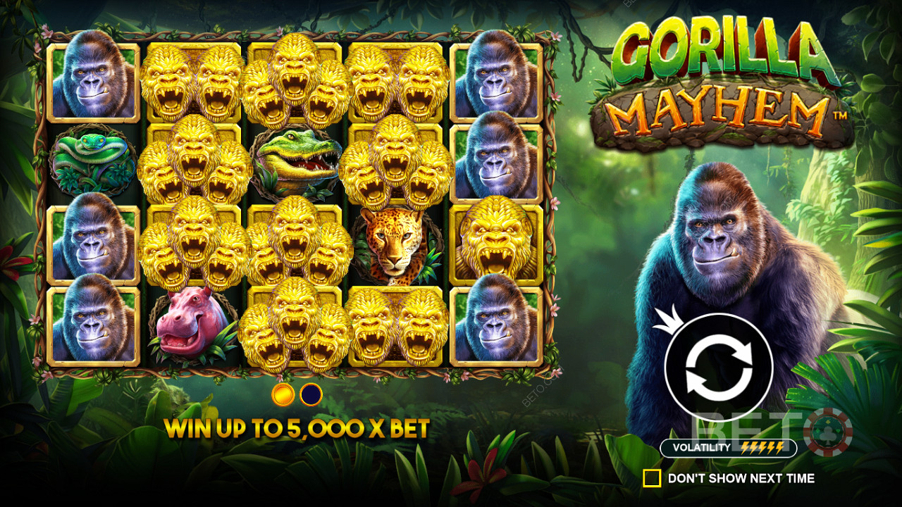 Os símbolos do Gorila Dourado desempenham um papel importante na ranhura do Gorila Mayhem