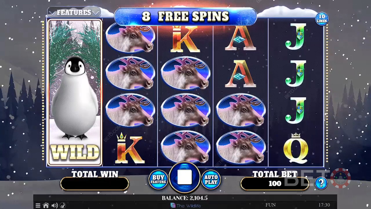 Wild Penguin Avaliação por BETO Slots