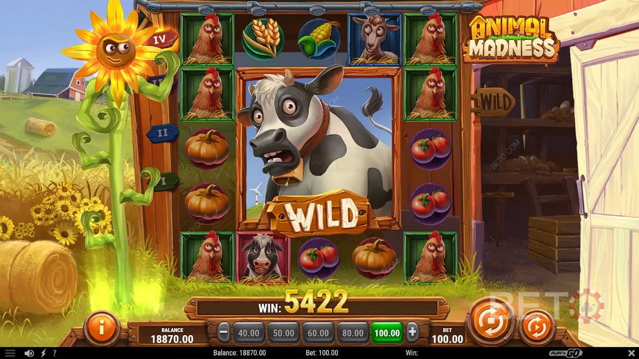 Animal Madness Jogo Grátis