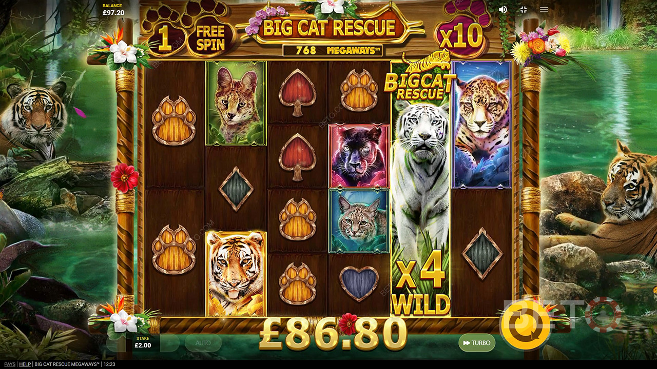 Big Cat Rescue Megaways Jogo Grátis