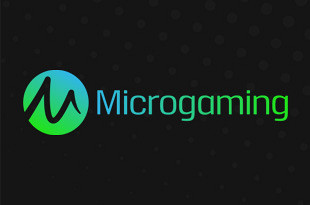 Jogue Slots Online Microgaming e Jogos de Casino (2024)