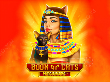Book of Cats Megaways Demonstração