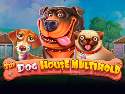 The Dog House Multihold Demonstração