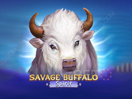 Savage Buffalo Spirit Demonstração