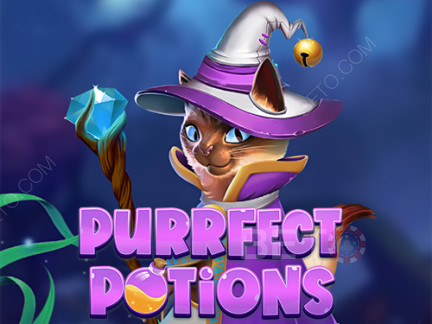 Purrfect Potions Demonstração
