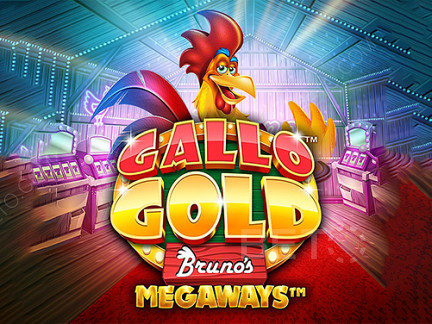 Gallo Gold Bruno's Megaways Demonstração