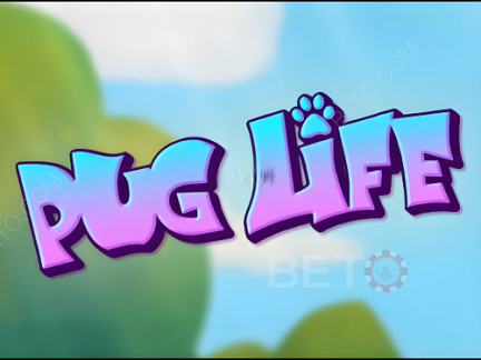 Pug Life Demonstração