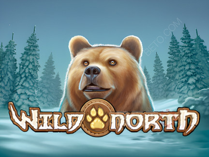 Wild North (Play’n Go) Demonstração