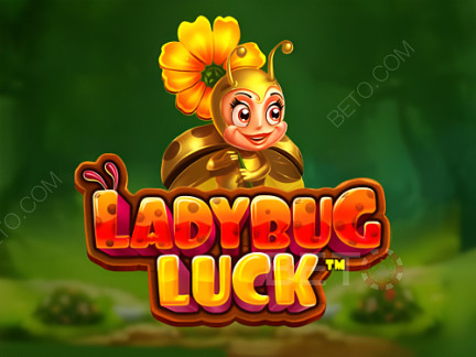 Ladybug Luck  Demonstração