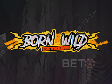 Born Wild Demonstração