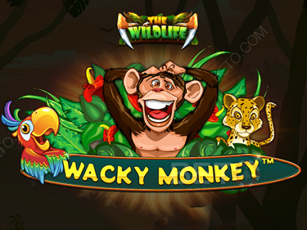 Wacky Monkey Demonstração