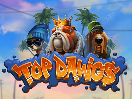 Top Dawgs Demonstração