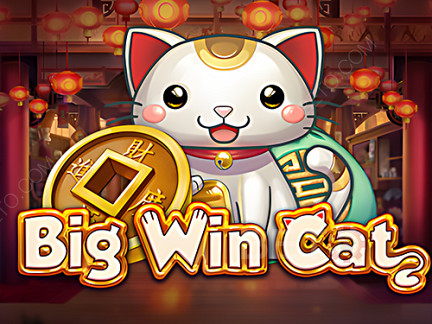 Big Win Cat Demonstração