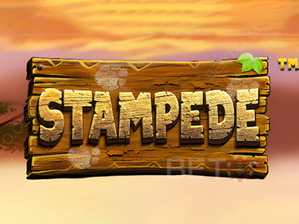 Stampede (Betsoft)  Demonstração