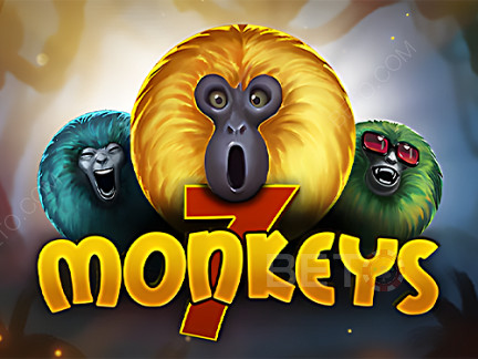 7 Monkeys  Demonstração