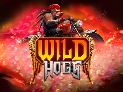 Wild Hogs Demonstração