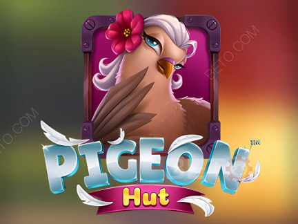 Pigeon Hut Demonstração