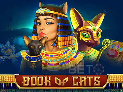 Book Of Cats Demonstração