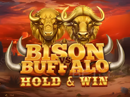 Bison vs Buffalo Demonstração