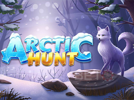 Arctic Hunt Demonstração