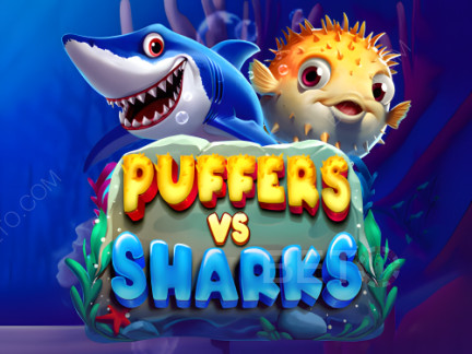 Puffers Vs Sharks Demonstração