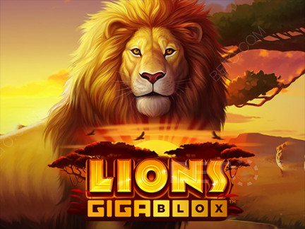 Lions GigaBlox Demonstração