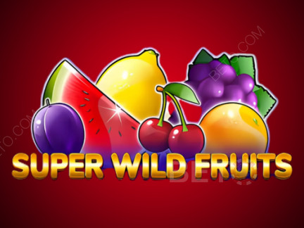 Super Wild Fruits Demonstração