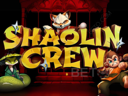 Shaolin Crew Demonstração