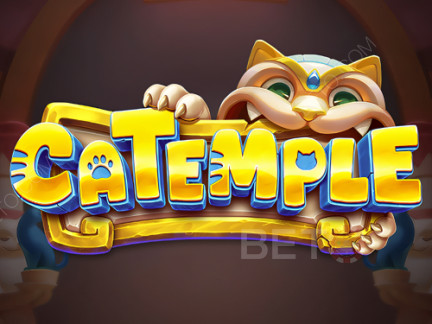 Catemple Demonstração