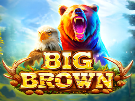 Big Brown Demonstração